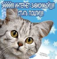 ej-internet-zavisimyj-spat-poshli.jpg