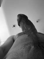 IMG8928.jpeg