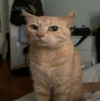 555.jpg