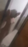 x3gde.mp4
