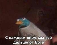 1697749927167696956.jpg