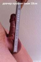 image~1004.jpg