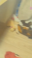 VID20250907163227510.mp4
