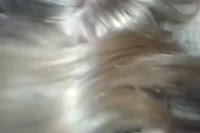 1752338549603.mp4