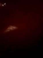 j625j6564.mp4