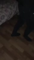 video2024-04-3002-17-50.mp4