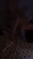 7654688755.mp4