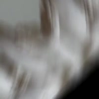1756089745347932.mp4