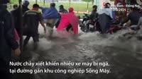 6856133inorigvnecdn.mp4