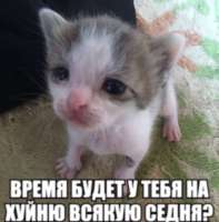 IMG20250428230643021.jpg
