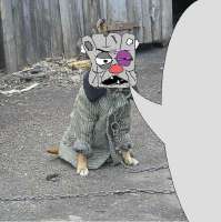 Tou6of0QwH8.jpg