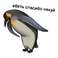 1697539056176771402.jpg