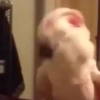 17429814379870.mp4