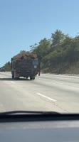 1747175714713.mov