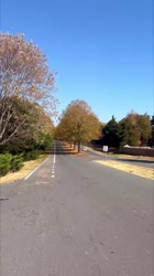 17426234342231.mp4