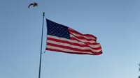 USA Anthem but with explosions and bald eagle screeches.mp4