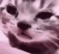 1746311988237.mp4