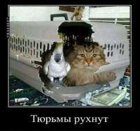 IMG20250418064848936.jpg