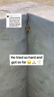 mp4.mp4