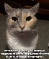 IMG20250511212556560.jpg