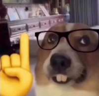 IMG5300.png