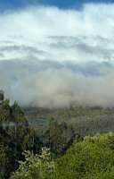 IMG5319.jpeg