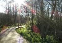 IMG4774.jpeg