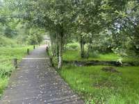 IMG6087.jpeg