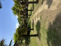 IMG5074.jpeg