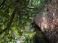 IMG5059.jpeg