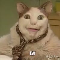 131daa8b21bf572a38b7a1cf6d48bf7a-videomp4.mp4
