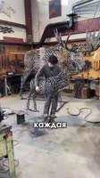 17492300408890.mp4