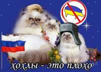 IMG5584.jpeg