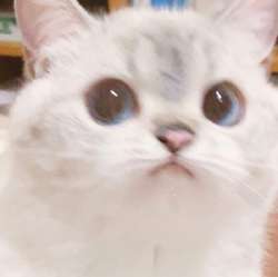 IMG1194.jpeg