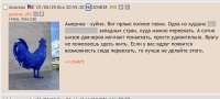 Снимок экрана 2025-06-04 22.51.16.png