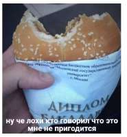 17467424822310.jpg