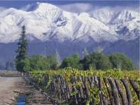 maipo-valley-wine-route-tour-703.webp