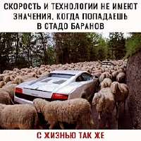 images (1).jpeg