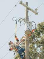 lineman3.WEBP