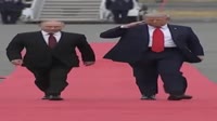 17555051596130.mp4