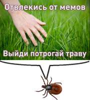 17498153323940.jpg