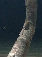 IMG1593.jpeg