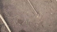 20250817154535.mp4