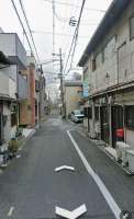 IMG4271.jpeg