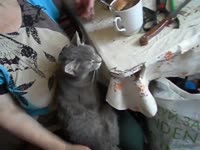 хрючево.mp4