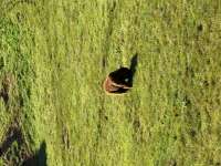 IMG8969.jpeg