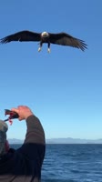 Alaska.mp4
