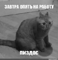 images.jpg
