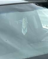 IMG6261.jpeg