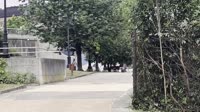 vcompress83.mp4